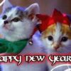 Buon 2010 da Amica Fm